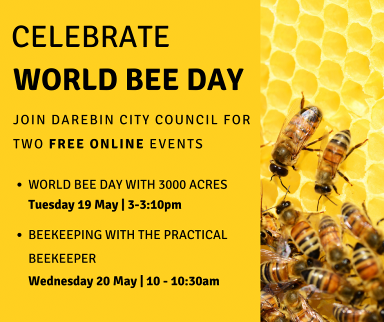 World Bee Day Fun Facts